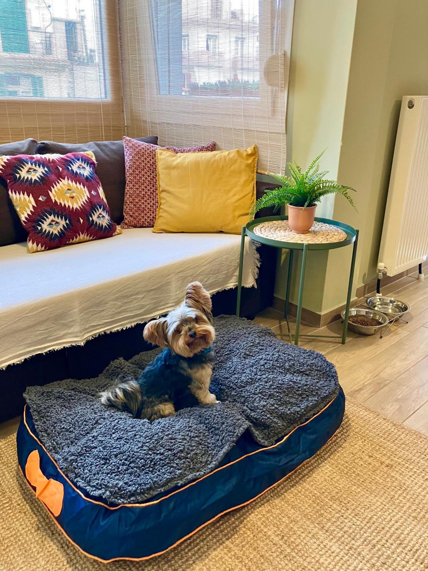 Super Cute & Cozy Mini Studios In City Center Солун Екстериор снимка